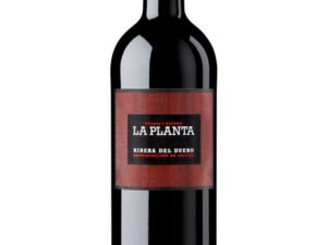 La Planta Arzuaga D.O. Ribera del Duero